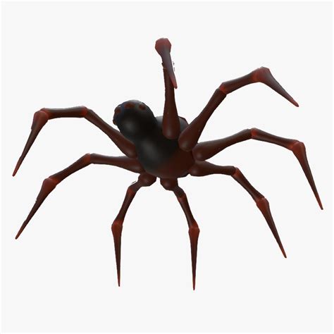 Textured Rigged And Animated Spider 3d Turbosquid 2173429