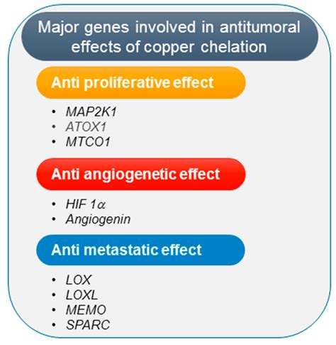 Current Biomedical Use Of Copper Chelation Therapy