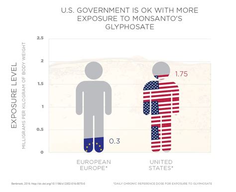 Americans At Greater Risk Of Glyphosate Exposure Than Europeans Ewg