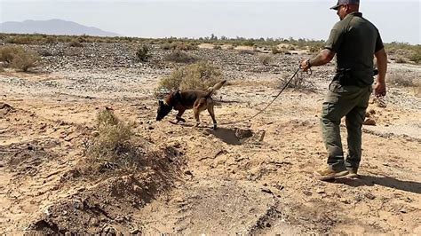 Hallan huesos en jornada de búsqueda en el Valle de Mexicali