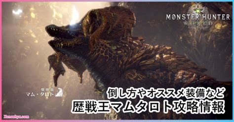 【mhw】歴戦王マムタロト攻略情報／ライトオススメ装備｜近未来スライム記