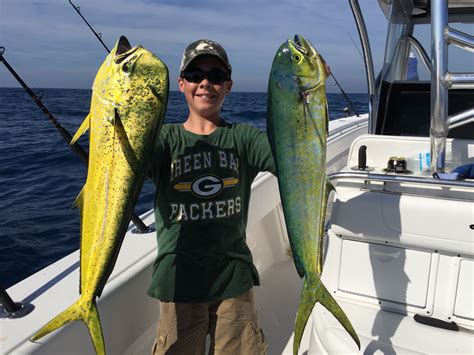 Dolphin Mahi Mahi Fishing In The Florida Keys