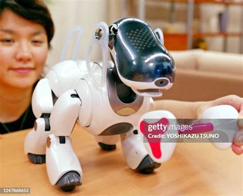 27 Sony Unveils New Aibo Robot Dog Stock Photos High Res Pictures And