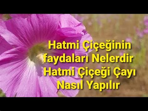 Hatmi I E Inin Faydalar Nelerdir Hatmi I E I Ay Nas L Yap L R