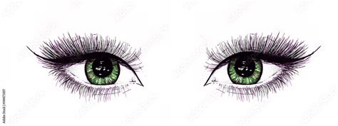 Beautiful Open Female Eyes With Long Eyelashes Is Isolated On A White
