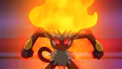 🔥infernape👊 Wiki Pokémon Amino