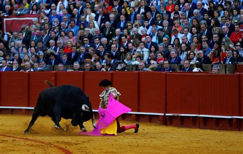 Famous matadors perform talents during a bullfight in Seville