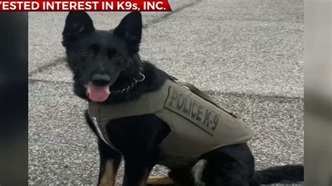 Osage County Sheriffs Office Receives Donated K9 Vests