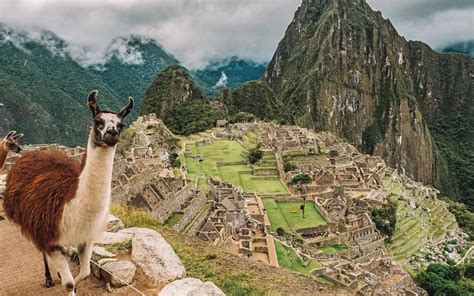 El Mejor Momento Para Caminar Por El Camino Inca Y Visitar Machu Picchu