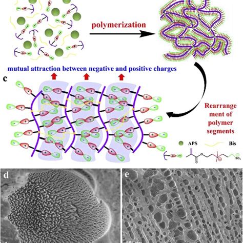 A Psbma Hydrogel Prepared By In Situ Free Radical Polymerization B