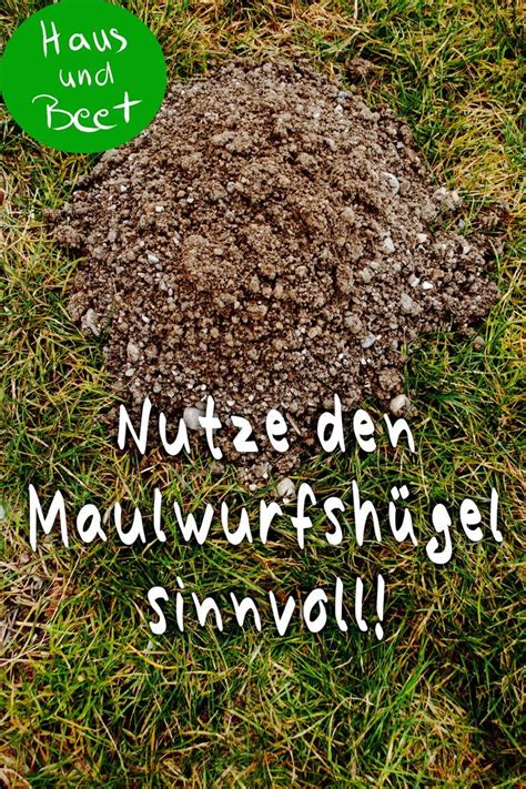 Säen mit Erde aus dem Maulwurfshügel in 2020 mit Bildern Garten