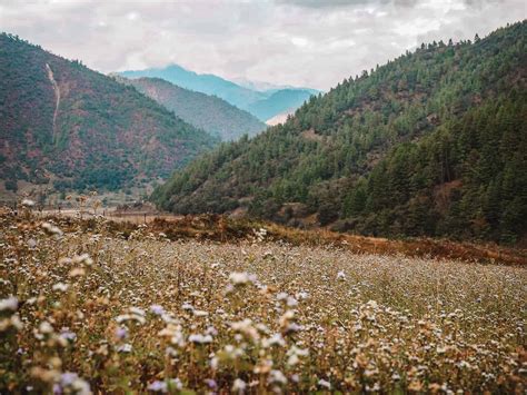 Sangti Valley 7 Reasons To Discover This Secluded Wonder In Arunachal