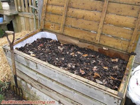 Bentleys Ultimate Backyard Worm Bin Red Worm Composting