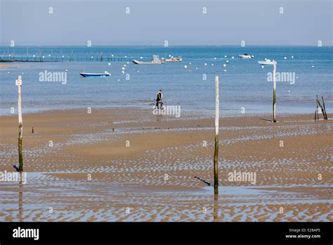 France Gironde Bassin D Arcachon Cap Ferret Oyster Farm Stock Photo