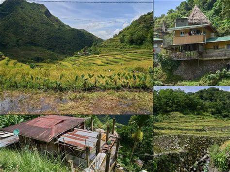 503 Photos Of Rice Terraces Asian Flippednormals