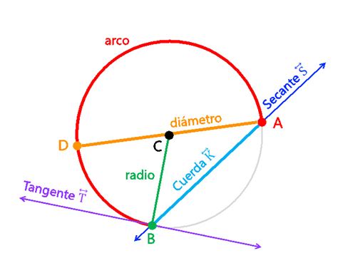 Elemtos Notables De La Circunferencia Elementos Notables Y Rectas En