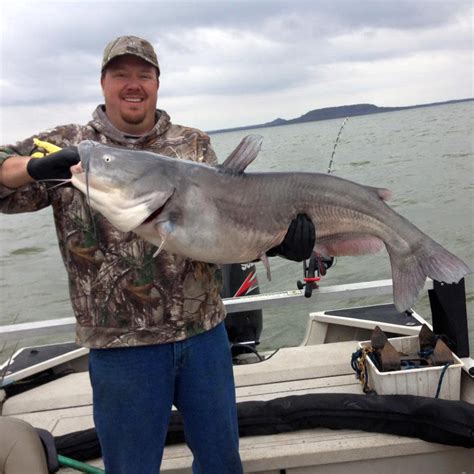 Fishing In Oologah Lake Area Green Country Oklahoma