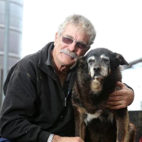 Ltester Hund Gestorben Das Geheimnis Eines Langen Lebens