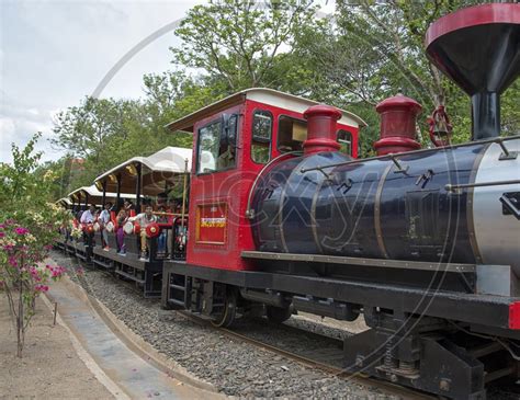 Image Of Unidentified Tourist Enjoy Mini Train At Anand Sagar Shri