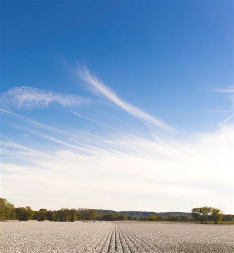 Free Images Landscape Tree Horizon Cloud Sky Field Prairie