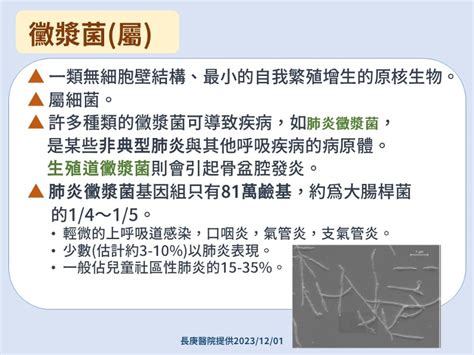 肺炎黴漿菌疫情引關注！早就存在台灣、對抗生素有抗藥性？醫師解答 健康遠見