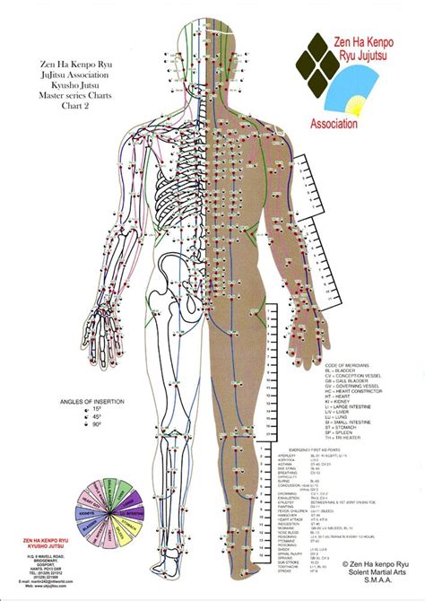 Pressure Point Diagram