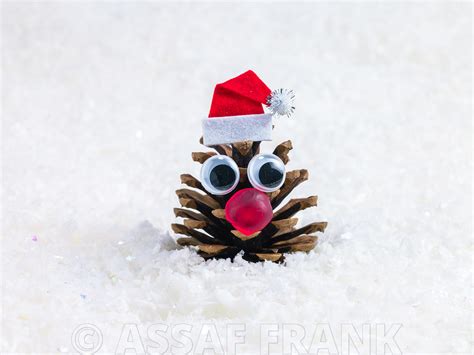 Assaf Frank Photography Licensing Face Shaped Pine Cone With Santa Hat