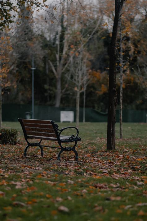 Hidden Gems Exploring Lesser Known Parks In Wisconsin Traveling