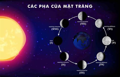 Tra cứu mặt trăng theo ngày sinh Online - nhanso.vn