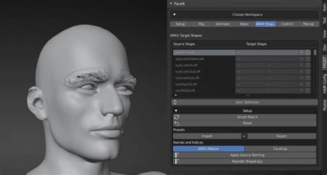 Faceit : Facial Expressions and Performance Capture - Blender Market