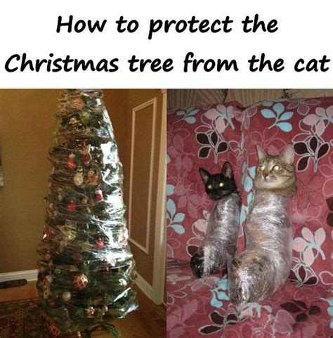 How To Protect The Christmas Tree From The Cat 4015