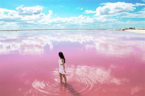 What Makes Pink Lake Pink? Can You Swim In The Pink Lake?