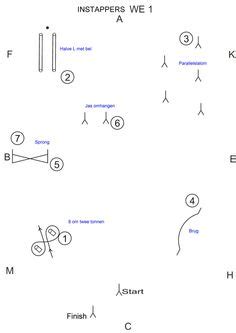 working equitation ideas equitation western trail horses