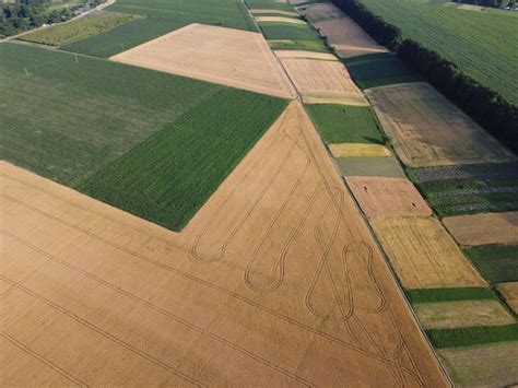 O Campo Semeado Diferentes Culturas Por Reas De Formas