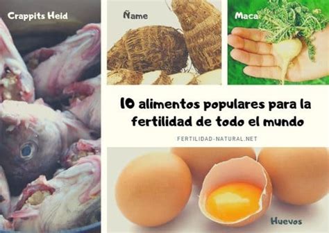 10 Alimentos Populares Para La Fertilidad De Todo El Mundo Fertilidad