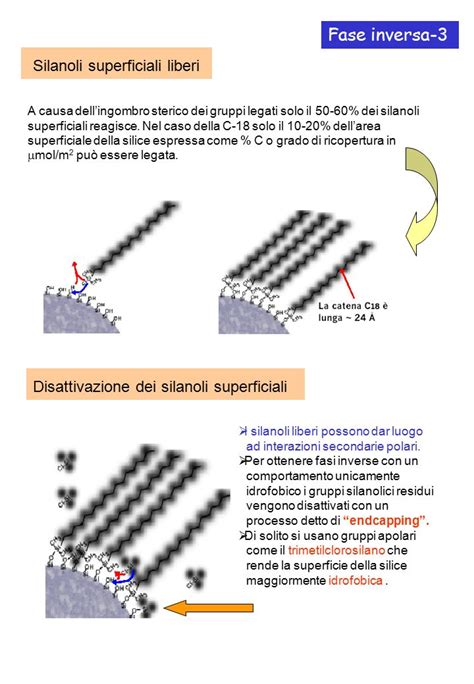 Fase Diretta 1 Tecniche Di Separazione E Tipi Di Fasi In Cromatografia