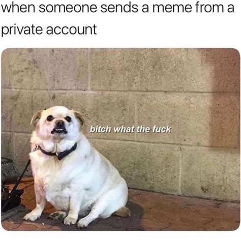 When Someone Sends A Meme From A Private Account Bitch What The Fuck Funny