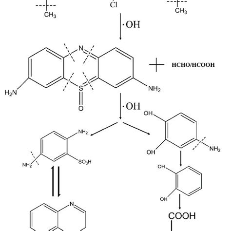 The Mb Degradation Process Of Composite Fenton Catalyst Film Polymers