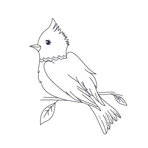 Bird Outline Line Drawing Images - Free Download on Freepik