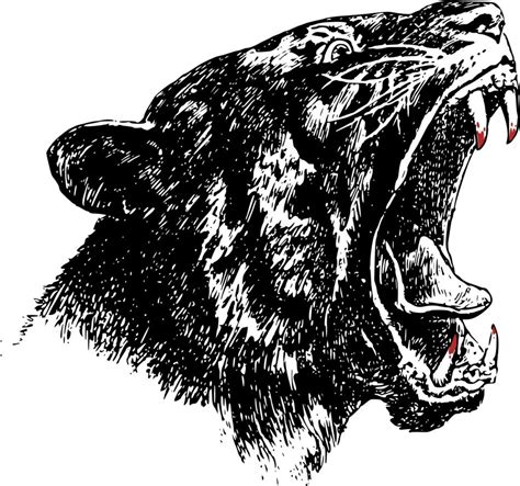 Painted Panther Head With Sharp Teeth Free Image Download