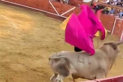 Shocking Moment Spanish Bullfighter Gored In Bum And Tossed In Air As