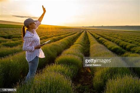 619 Farmer Shaking Hands Stock Photos High Res Pictures And Images