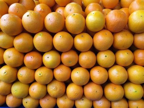 Portakal Images – Browse 775 Stock Photos, Vectors, and Video | Adobe Stock