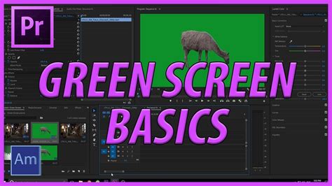 Green Screen Premiere Pro How To Work With A Green Screen In Adobe Images