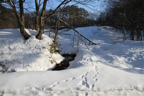 安芸路散策・冬の芸北八幡を歩く Awakin Blog