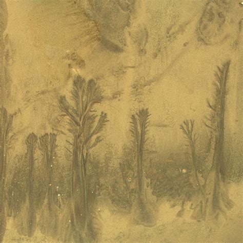 photography  deadly sins behance