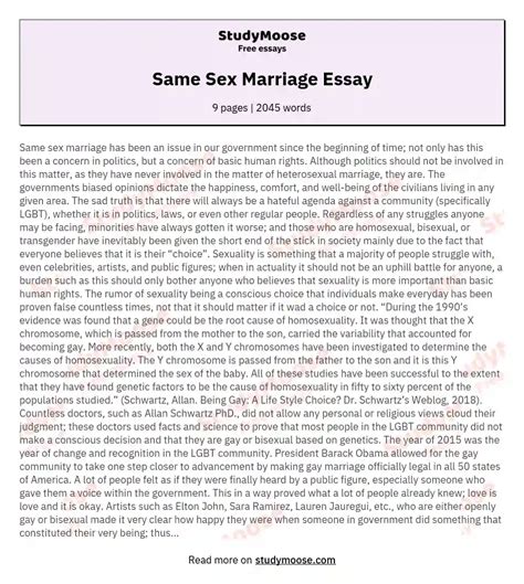 Same Sex Marriage Essay Free Essay Example