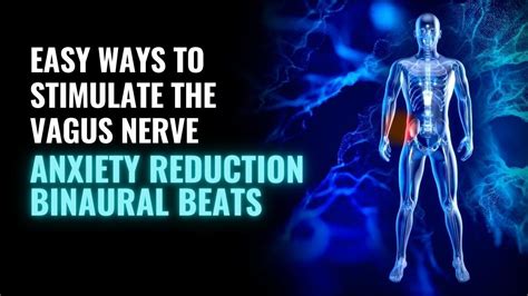 Vagal Tone Stimulate The Vagus Nerve Parasympathetic Nervous System