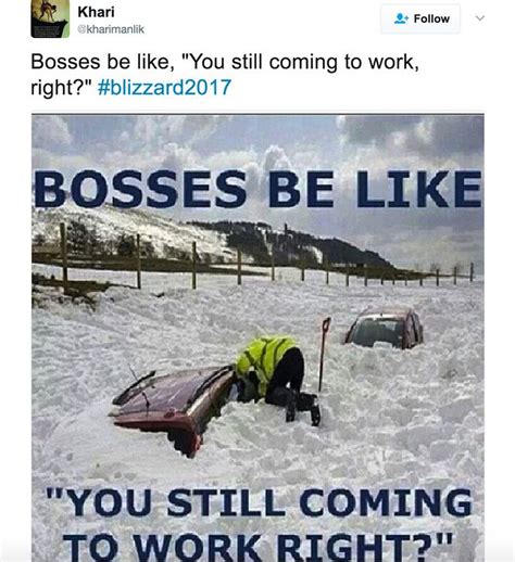 STELLA Snow Storm Inspires Blizzard Of Funny Memes On Social Media