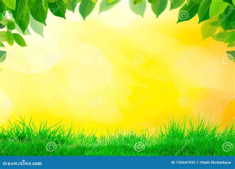 76 Nature Yellow Background Hd For FREE - MyWeb